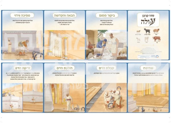 ⁦סדר הקרבת קרבן עולה⁩ – תמונה ⁦2⁩