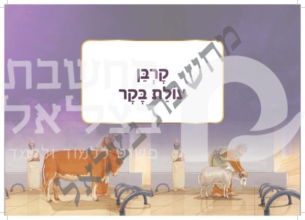 ⁦אלבום עבודת הקרבנות⁩ – תמונה ⁦19⁩