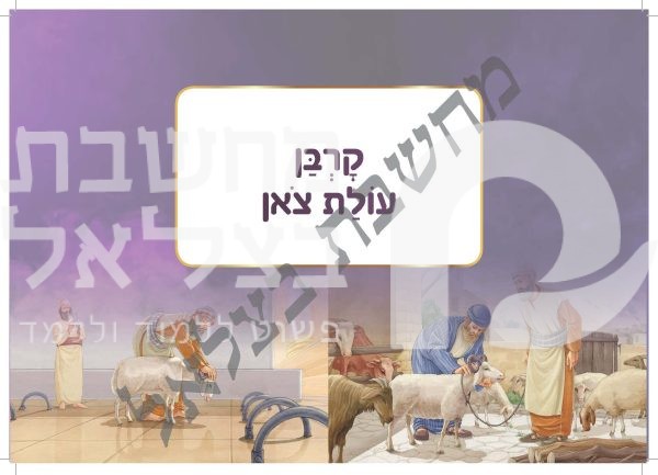 ⁦אלבום עבודת הקרבנות⁩ – תמונה ⁦11⁩