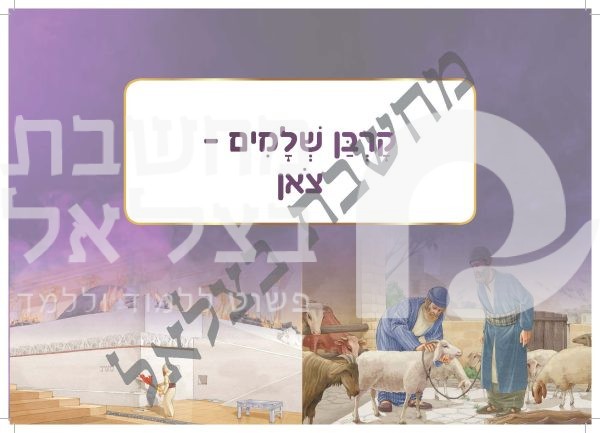 ⁦אלבום עבודת הקרבנות⁩ – תמונה ⁦7⁩
