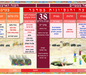 פריסה לספר במדבר