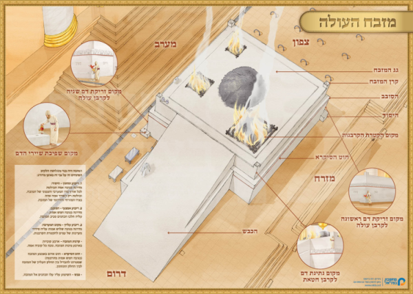 דגם מזבח העולה גודל 50/70