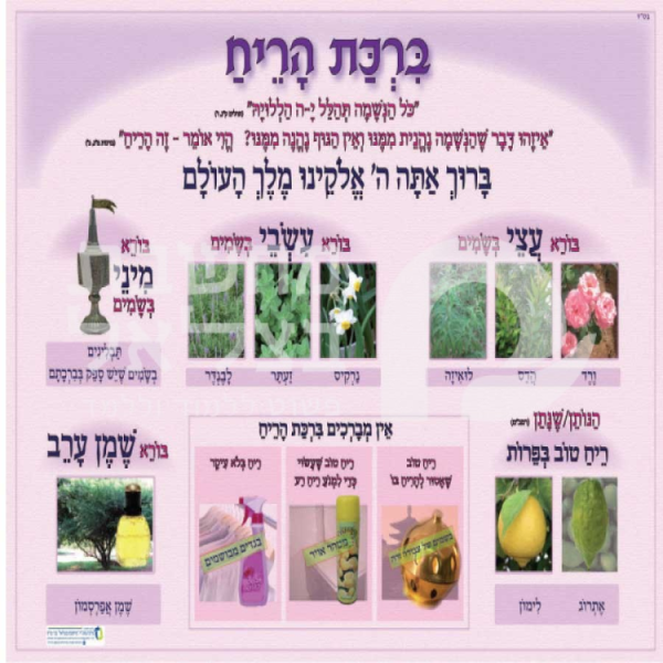 ⁦ערכת ברכות/פלקט גודל 47/32⁩ – תמונה ⁦5⁩