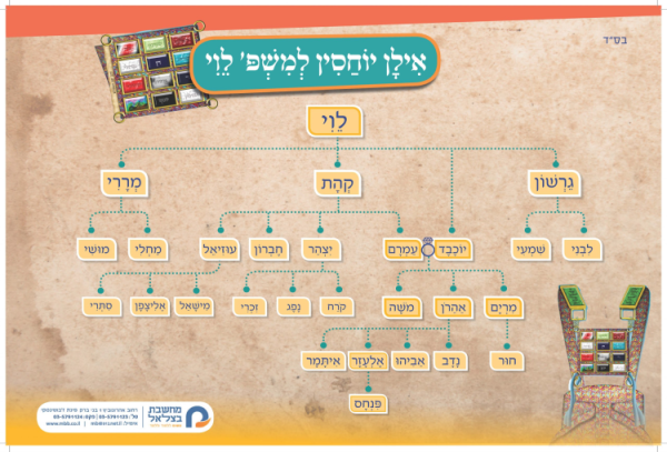 אילן יוחסין למשפחת לוי