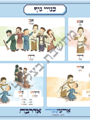 כינויי גוף ח