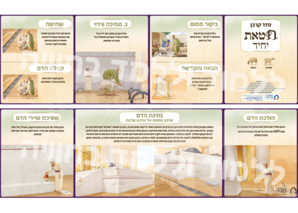 קרבן חטאת יחיד