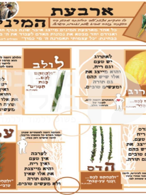 ארבעת המינים/כרזה/פלקט