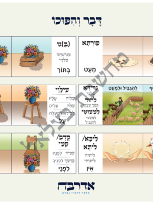 דבר והיפוכו