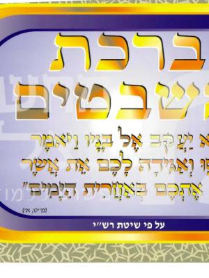 ברכת השבטים