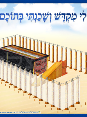 ערכת כלי המשכן ובגדי כהונה - כרזה/פלקט