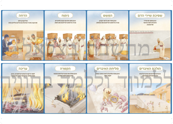 ⁦ערכת סדר הקרבת הקורבנות⁩ – תמונה ⁦2⁩
