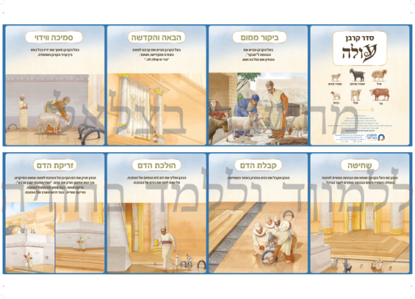 ⁦ערכת סדר הקרבת הקורבנות⁩ – תמונה ⁦3⁩