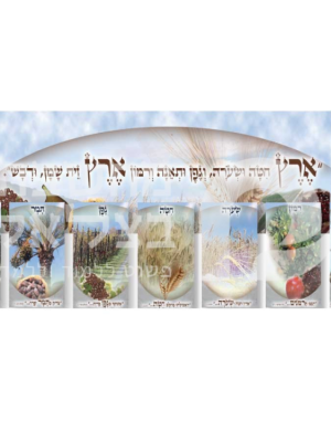 שבעת המינים/כרזה/פלקט