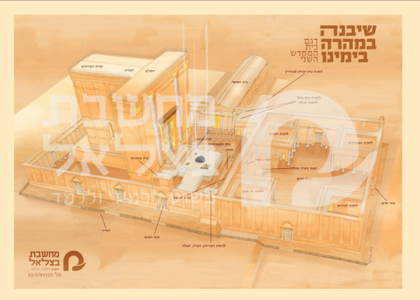 פלקט דגם בית המקדש