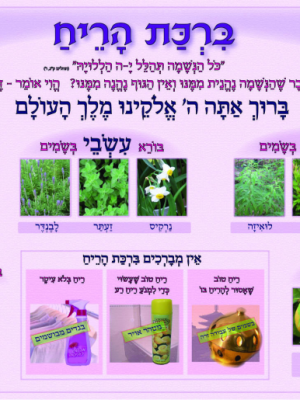 ערכת ברכות/כולל 7 כרזות גודל 47/32,ברכת הריח