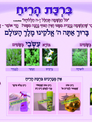 ערכת ברכות 7 כרזות