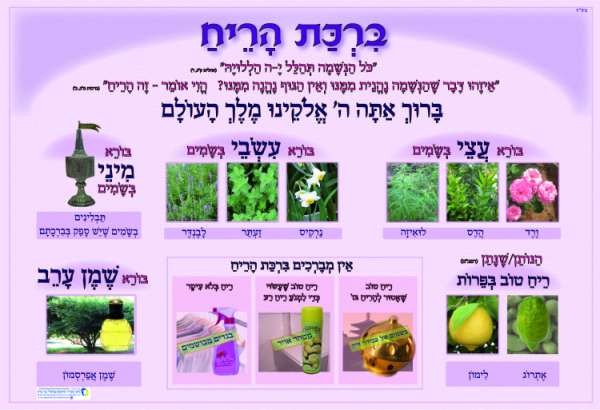 ערכת ברכות 7 כרזות