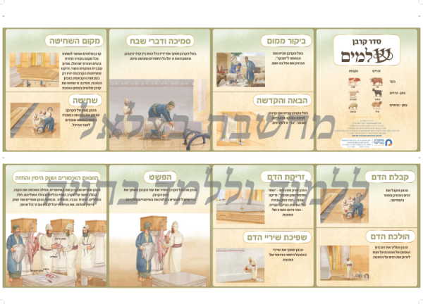 ⁦ערכת סדר הקרבת הקורבנות⁩ – תמונה ⁦6⁩