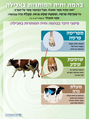 ערכת סימני איסור והיתר בבהמה, חיה ,עוף 4 כרזות