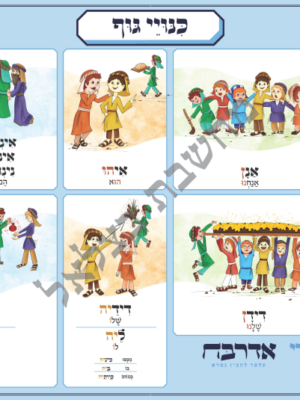 כנויי גוף