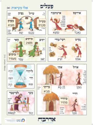 פעלים אלו מציאות (2 פלקטים גודל 50/70)