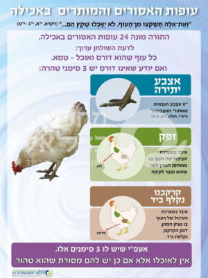 ערכת סימני איסור והיתר בבהמה, חיה ,עוף \כרזה