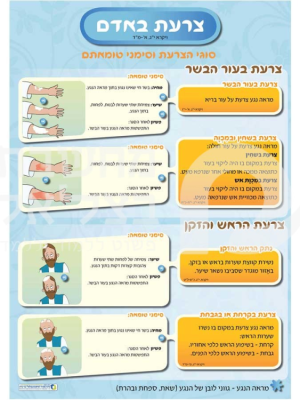 הצערת והמצורע (2 כרזות 50/70 , 4 כרזות 70/35 סה"כ 6 כרזות),