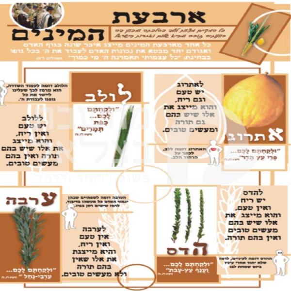 ארבעת המינים/כרזה/פלקט