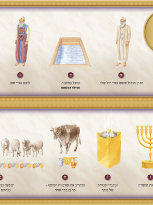 ערכת עבודת כהן גדול ביום הכיפורים  (7 כרזות גודל 50/70),חמש טבילות
