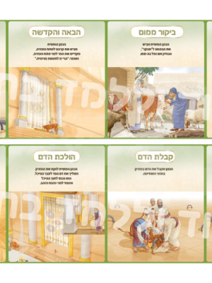 סדר הקרבת קרבן חטאת פנימית