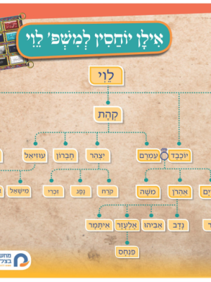 אילן יוחסין למשפחת לוי