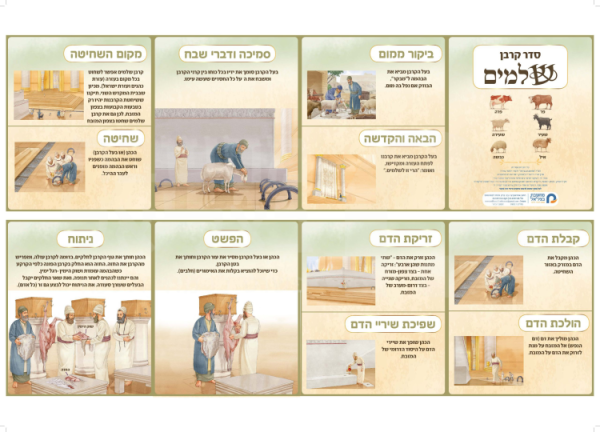 ערכת סדר הקרבת הקרבנות - עולה, שלמים, חטאת פנימית, חטאת יחיד, ועולת העוף