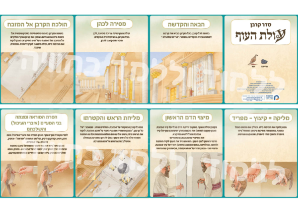 ⁦ערכת סדר הקרבת הקרבנות - עולה, שלמים, חטאת פנימית, חטאת יחיד, ועולת העוף⁩ – תמונה ⁦2⁩
