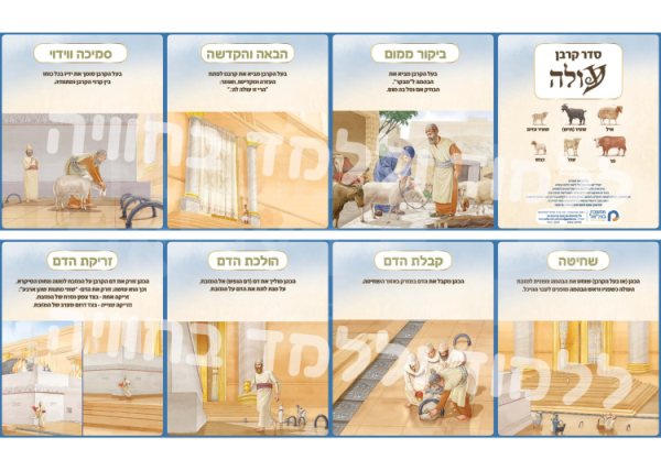 ⁦ערכת סדר הקרבת הקרבנות - עולה, שלמים, חטאת פנימית, חטאת יחיד, ועולת העוף⁩ – תמונה ⁦7⁩