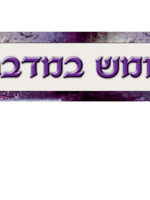 כותרת חומש במדבר כרזה 70/20