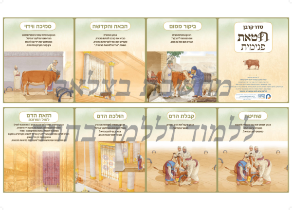 ⁦ערכת סדר הקרבת הקורבנות⁩ – תמונה ⁦9⁩