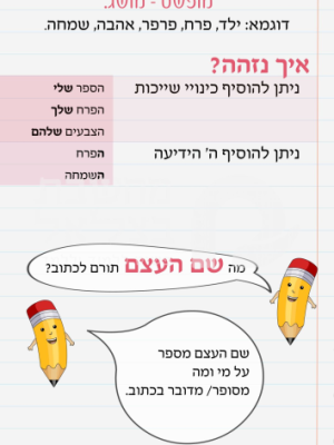 שם עצם / פלקט