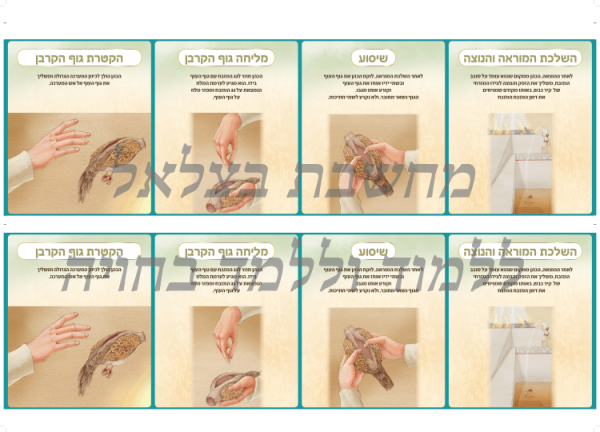 ⁦ערכת סדר הקרבת הקורבנות⁩ – תמונה ⁦10⁩