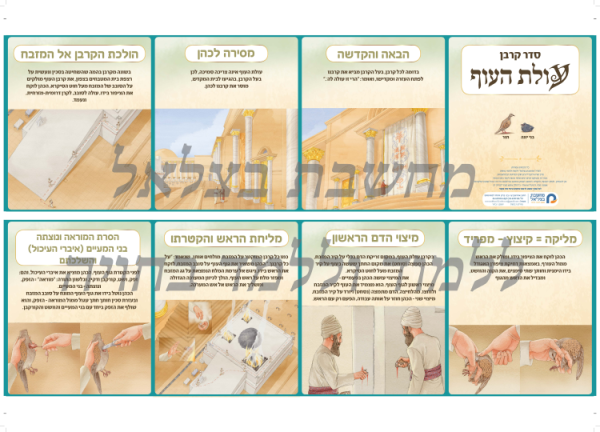 ⁦ערכת סדר הקרבת הקורבנות⁩ – תמונה ⁦11⁩